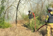 Понад 9 гектарів сухостою вигоріло за добу на Херсонщині. ФОТО