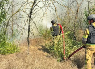 Понад 9 гектарів сухостою вигоріло за добу на Херсонщині. ФОТО
