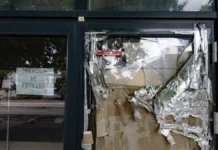 На Херсонщині зареєстровано понад 14 тисяч компаній та ФОПів