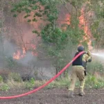 На Херсонщині за добу рятувальники ліквідували 7 пожеж в екосистемах