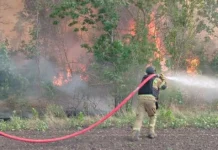 На Херсонщині за добу рятувальники ліквідували 7 пожеж в екосистемах