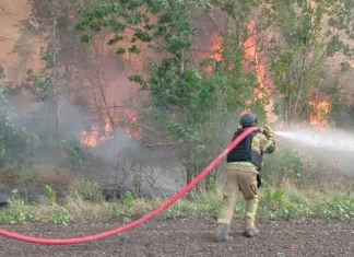 На Херсонщині за добу рятувальники ліквідували 7 пожеж в екосистемах