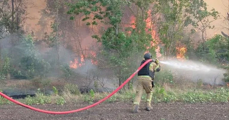 На Херсонщині за добу рятувальники ліквідували 7 пожеж в екосистемах